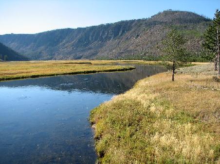 Das erste Bild im Yellowstone