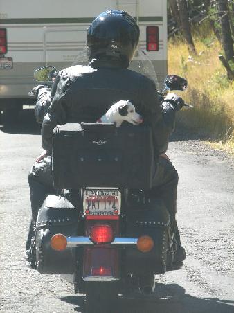 Harley als Dreisitzer