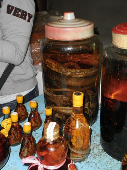 Schlangenwein - is good for man ... Nina hat auch probiert