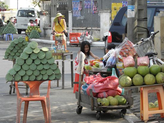 Zu verkaufen, Lotusbluetenstengel, Pomelos und dazwischen eine typische Tankstelle. Die Petflaschen direkt neben dem Lotusgemuese.