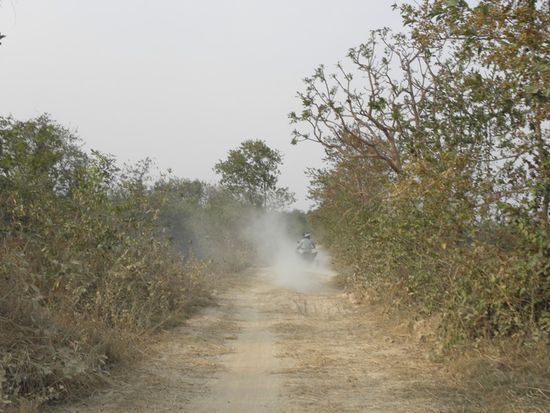 Ueber 4 Std. solche Strecken.... Staub ueberall