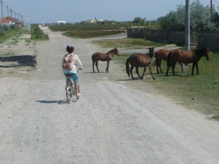 Da gehts zum weißen Sandstrand am Schwarzen Meer