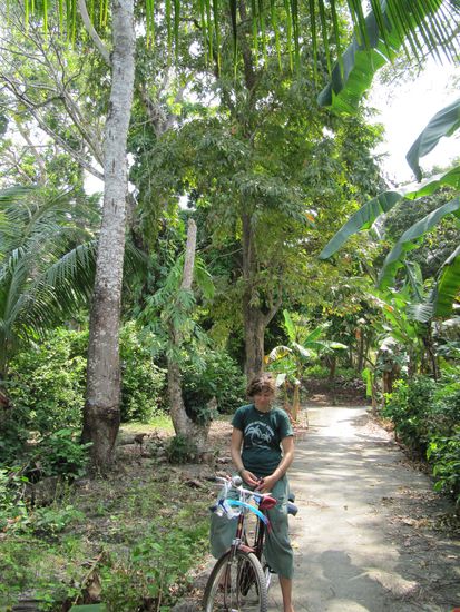 irgenwo im Dschungel verirrt