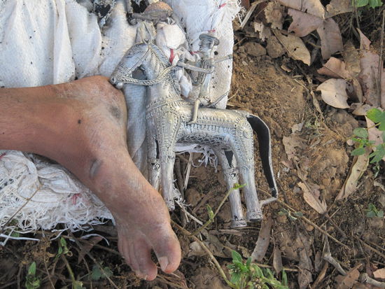 Pferd kuesst Fuss...