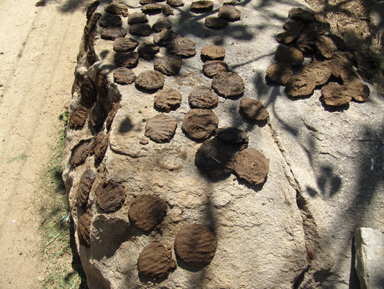 Auch Hampi aber am anderen Ufer: Tolle Pellets zum Verheizen, echte Handarbeit.