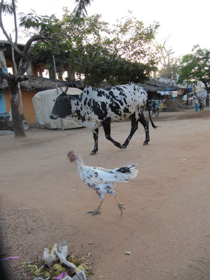 Hampi Hampi Hampi: Der "kleine Onkel" in doppelter Inkarnation.