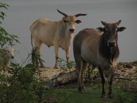 Andamanen, Long Island: Rechts, nicht im Bild, der wunderschoene Sonnenuntergang und links ein Regenbogen...