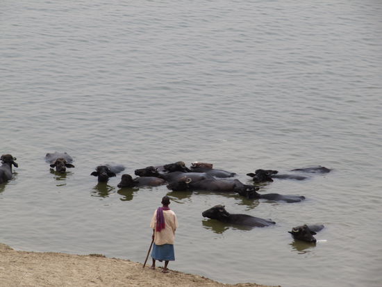 Varanasi: Ohne Worte...