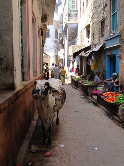 Varanasi: in den Gassen.
