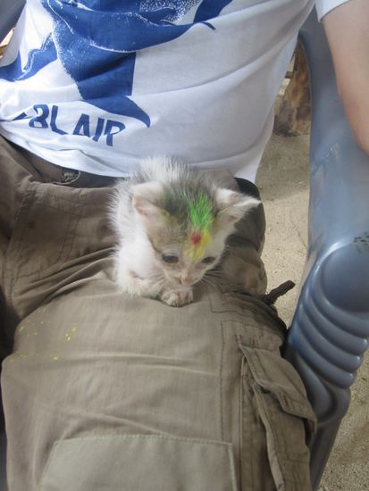 Natuerlich bleibt auch unser Findelkind nicht verschohnt!