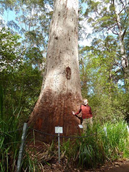 Ich bin ja sonst schon klein, aber.....
