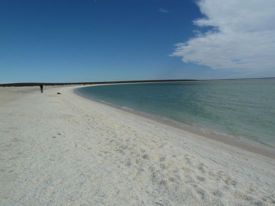 Shell Beach. Alles Muschelschalen.