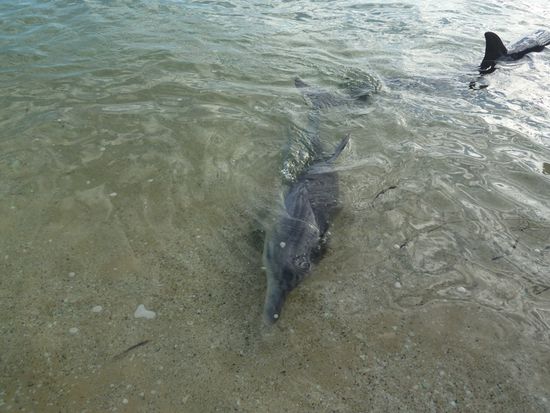 Das ist 2 Meter vor meinen Füssen.