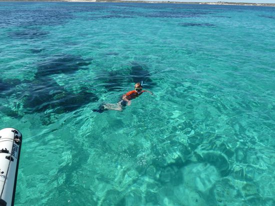 Schnorcheln Coral Bay