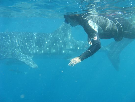 Wir dagegen etwas klein