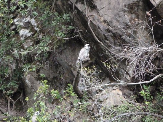 Überraschende Weggefährten.