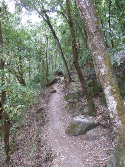 Zum Teil wunderschöne Wege.