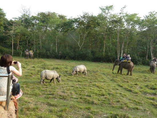 Diese Glück haben nicht alle