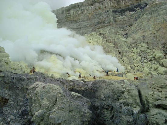Der härteste Job der Welt.