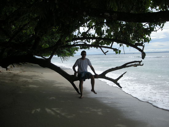 Südseetraumstrand mit Mangroven