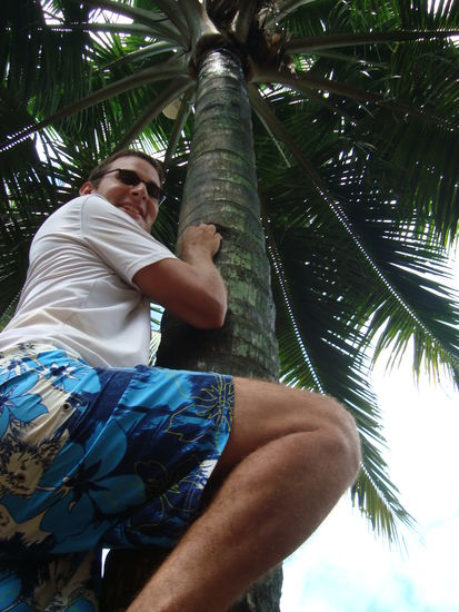 Bei der Kokosnussernte 