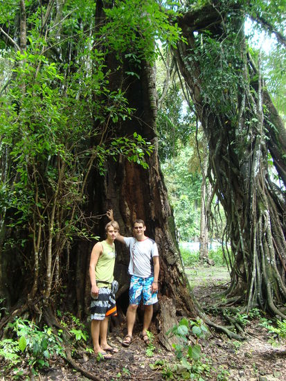 Nationalpark Pandangaran