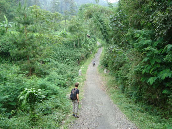 Wanderung durch die grüne Hölle zum Tempel