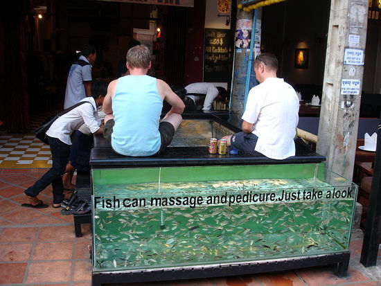 Einer hatte die Idee, jetzt gibt es die Fischmassagen an jeder Ecke.
