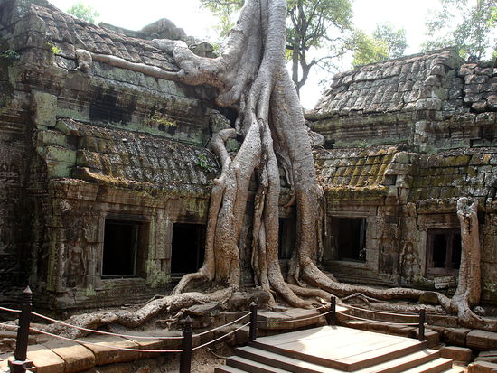 Ta Prohm