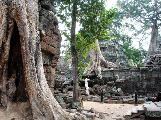 Ta Prohm