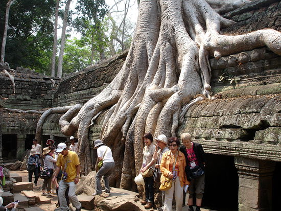Ta Prohm