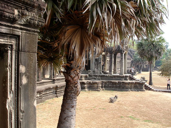 Angkor Wat