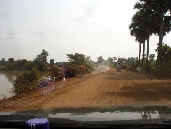 Auf dem Weg zum Sambor Prey Kuk