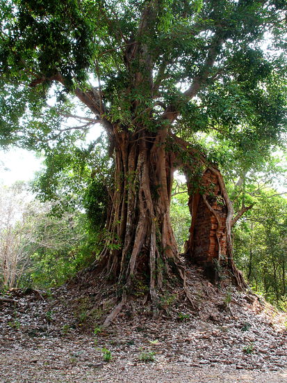 Prasat Yeay Puon - hier gibt es am meisten zu sehen.