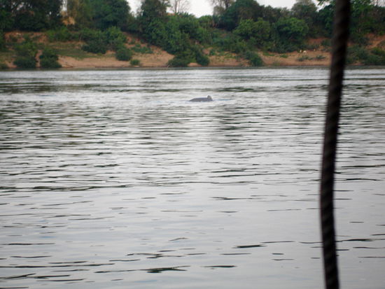 Besser gehts leider nicht