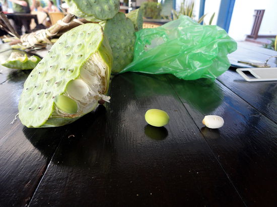 Lotusblüten - Die große Blüte wird aufgebrochen. Jedes schwarze Pünktchen ist eine Frucht. Die grüne Schale um die Frucht muss abgepuhlt werden. Das Weiße kann man dann essen. Es schmeckt nicht schlecht, aber ich kann nicht sagen, nach was. Vielleicht ein bisschen Richtung Bohnen.