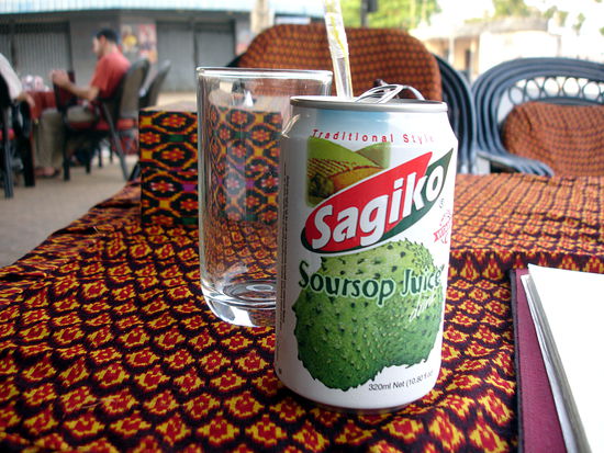 Mein Lieblingsgetränk an den Ständen. Der Saft schmeckt süß und auch ein bisschen sauer. Sehr lecker. Auch sehr interessant ist "Wintermelon Juice". Der Wintermelonensaft schmeckt überraschend - nicht wirklich nach Melone, sondern rauchig. Anders kann ich es nicht beschreiben.