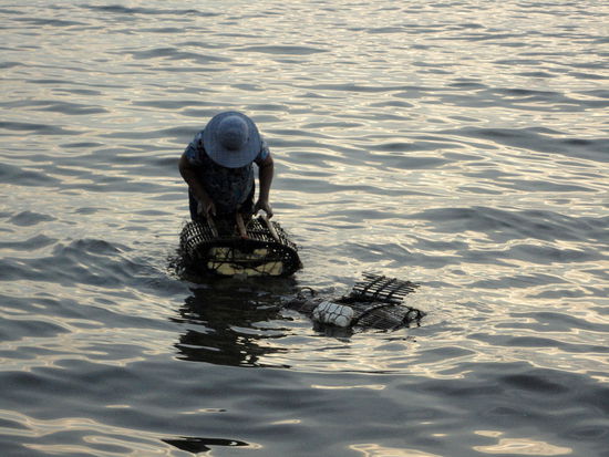 Das Abendessen - frischer geht es nicht
