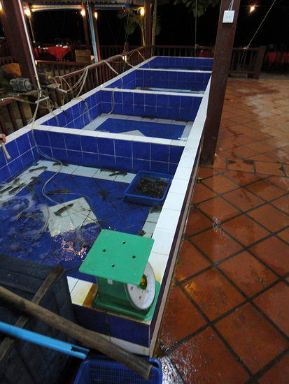 Seafood ganz frisch?!?