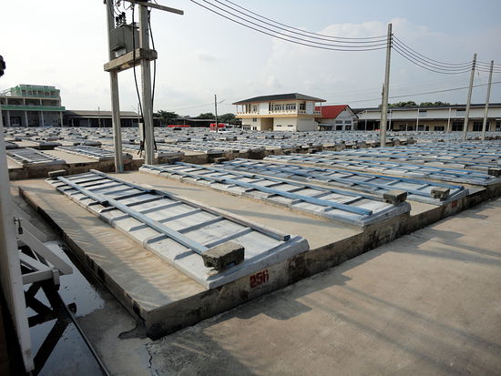 Fischsossenfabrik - Ich vermute dass das die Gärbehälter sind.