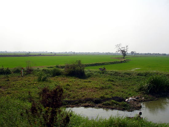 Typischer Blick aus dem Fenster