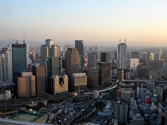 Floating Garden Observatory