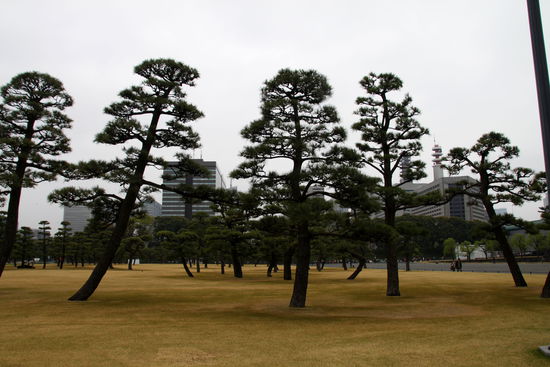 Gelände vom Kaiserpalast