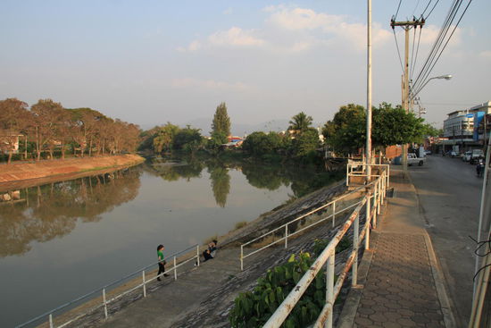 Zwischen den Bäumen befindet sich das Riverside