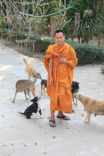 Jack mögen die Klosterhunde offensichtlich am meisten.