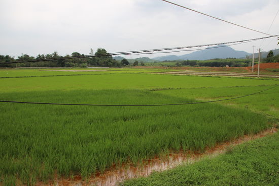 In solchen Ecken begegne ich definitiv keinen Reisegruppen mehr weil auf diesen Wegen keine Busse mehr fahren können