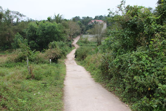 Schleichweg auf Vietnamesisch
