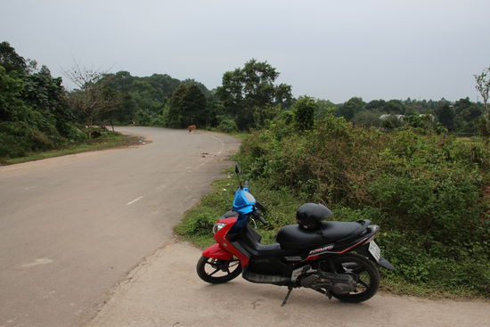 Verbindungsstraße zwischen den nächsten beiden Grabanlagen