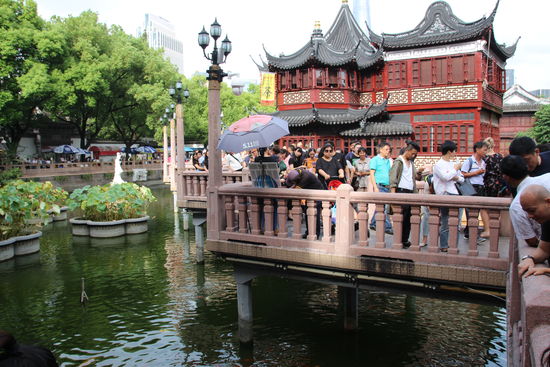 Das berühmte Teehaus mit Zickzackbrücke im Herzen von Shanghai