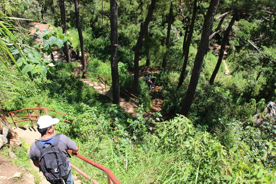 Den Weg geht es nachher logischerweise auch wieder rauf.
